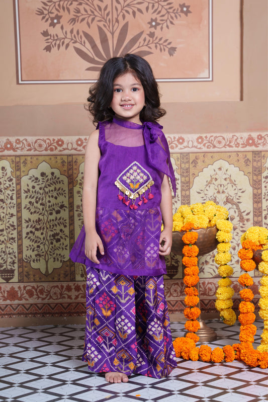 Elegant Silk & Organza Three-Piece Set with Hand-Embroidered Organza Jacket and Flared Palazzo.