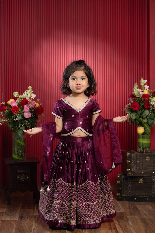 sequin embroidered wine lehenga set for girls with net dupatta by Kirti Agarwal