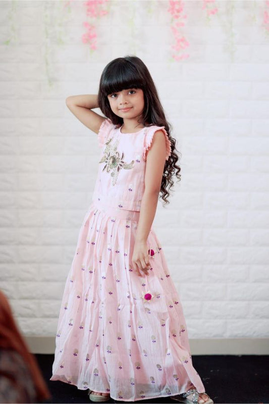 Hand Work Embroidered Top with Pleated Silk Skirt - Kirti Agarwal