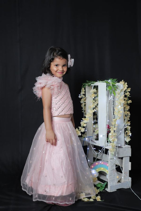 Sleeveless Feathered Top with Ghagra - Kirti Agarwal