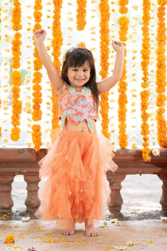 Vibrant Orange tulle style dress with flower embroidery on top - Kirti Agarwal