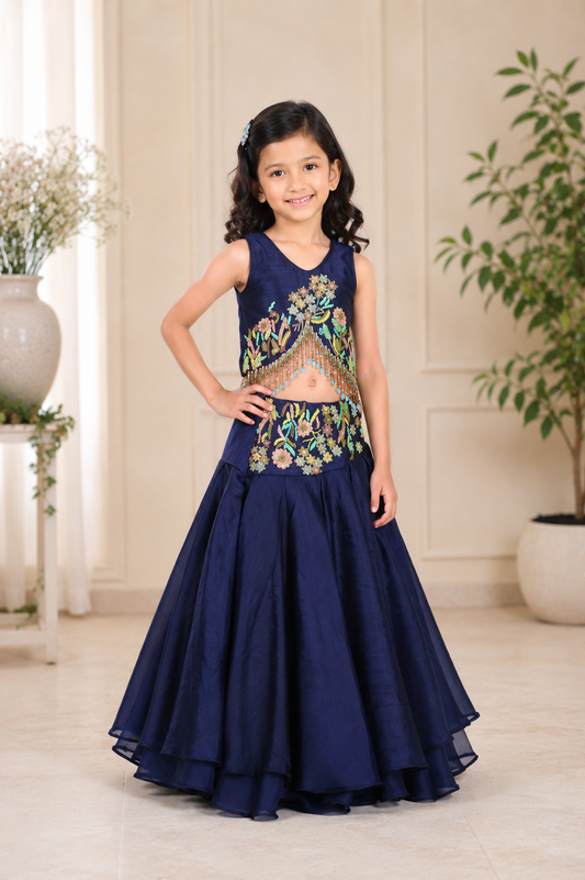 Navy Blue Embroidered Satin Organza Lehenga Set with Beaded Tassel Top