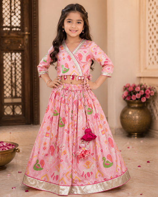 Pretty Pink Printed Crop Top & Full-Length Lehenga Set| Embroidered Top & Organza Dupatta | Kirti Agarwal