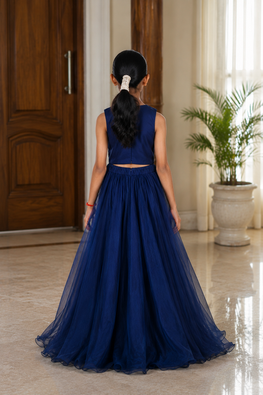 Heavy Handwork Embroidered Crop Top with Pure Organza Silk Lehenga