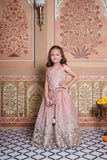 Dusty Old Rose Tissue Silk Top with Silver Floral Embroidery, Statement Hangings & Embellished Lehenga.