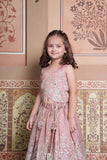 Dusty Old Rose Tissue Silk Top with Silver Floral Embroidery, Statement Hangings & Embellished Lehenga.