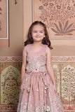 Dusty Old Rose Tissue Silk Top with Silver Floral Embroidery, Statement Hangings & Embellished Lehenga.