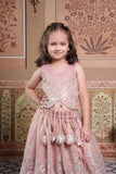 Dusty Old Rose Tissue Silk Top with Silver Floral Embroidery, Statement Hangings & Embellished Lehenga.