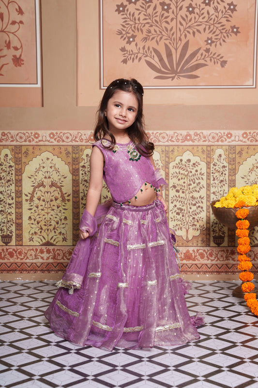 Beautiful lavender 4-piece tissue silk and net lehenga set with embellished crop top, dupatta and matching potli bag.