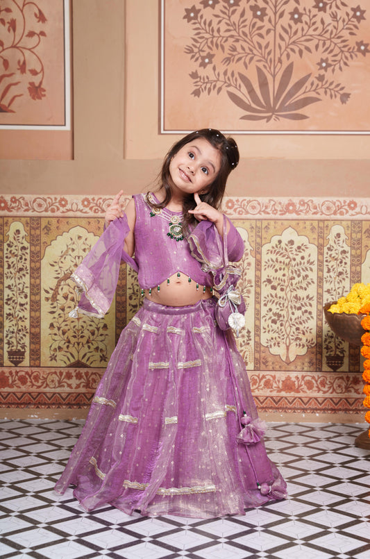 Beautiful lavender 4-piece tissue silk and net lehenga set with embellished crop top, dupatta and matching potli bag.