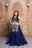 Heavy Handwork Embroidered Crop Top with Pure Organza Silk Lehenga