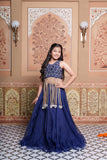 Heavy Handwork Embroidered Crop Top with Pure Organza Silk Lehenga