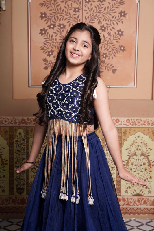 Heavy Handwork Embroidered Crop Top with Pure Organza Silk Lehenga