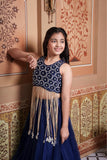 Heavy Handwork Embroidered Crop Top with Pure Organza Silk Lehenga