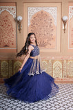 Heavy Handwork Embroidered Crop Top with Pure Organza Silk Lehenga