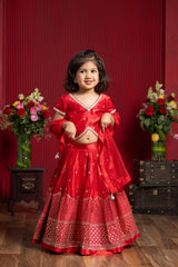 Sequin Embroidered Lahenga Sets