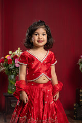 Sequin Embroidered Red Top And Lehenga With Matching Net Dupatta