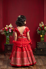 Sequin Embroidered Red Top And Lehenga With Matching Net Dupatta