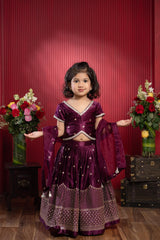 Sequin Embroidered Lahenga Sets