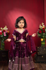 Sequin Embroidered Wine Top And Lehenga With Matching Net Dupatta