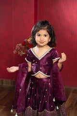 Sequin Embroidered Wine Top And Lehenga With Matching Net Dupatta