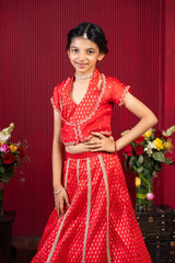 designer red embroidered girls lehenga outfit for wedding and festive wear