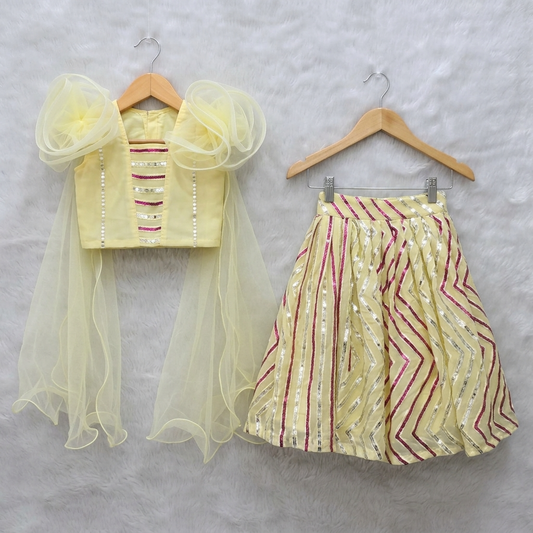 Crop top with 2 side flower attached dupatta and sequin work Lehenga