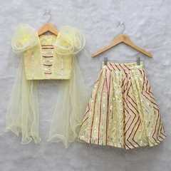 Crop top with 2 side flower attached dupatta and sequin work Lehenga
