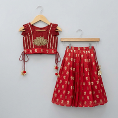 Lotus Embroidered Top with Pleated Lehenga