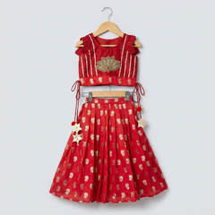 Lotus Embroidered Top with Pleated Lehenga