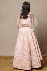 Elegant blush pink ensemble with intricate floral embroidery and a sheer overlay, perfect for any sophisticated occasion - Kirti Agarwal