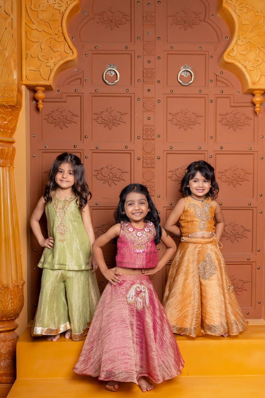 Embroidered Tissue Silk Collection for Girls - Kirti Agarwal