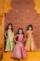 Embroidered Tissue Silk Collection for Girls - Kirti Agarwal