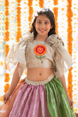 Flower embroidered crop top with panelled Lahenga - Kirti Agarwal