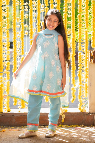 Gorgeous Sequin Work Blue Anarkali