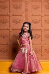 Embroidered Tissue Silk Collection for Girls