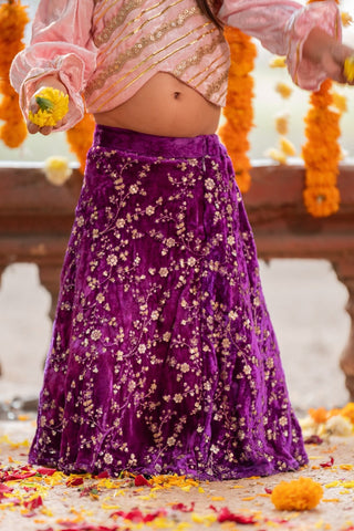 Pink Embroidered Velvet Top with Purple Ghagra - Kirti Agarwal