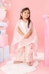 Flarry organza cape with crop top and embroidered pants - Kirti Agarwal