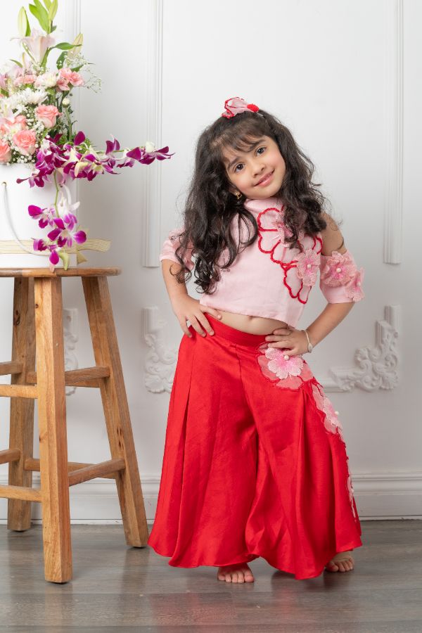 Flower Embroidered pink top with red embroidered pants - Kirti Agarwal
