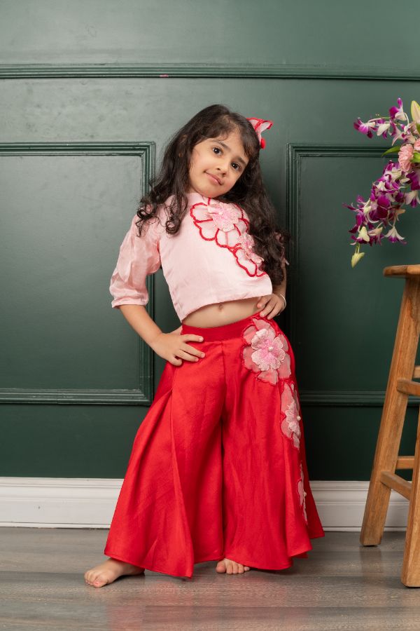 Flower Embroidered pink top with red embroidered pants – Kirti Agarwal