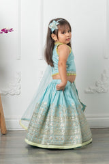 Heavy pita work lahenga with dupatta attached to top - Kirti Agarwal