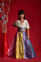 Multicolour Ghagra with V Neck style top - Kirti Agarwal