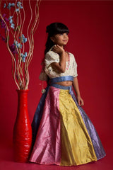 Multicolour Ghagra with V Neck style top - Kirti Agarwal