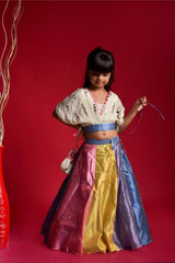 Multicolour Ghagra with V Neck style top - Kirti Agarwal