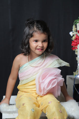 One Off Shoulder Flowered Jumpsuit - Kirti Agarwal