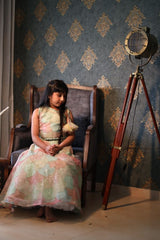 Organza Embroidered one off shoulder top with Embroidered Lehenga - Kirti Agarwal