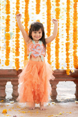 Vibrant Orange tulle style dress with flower embroidery on top - Kirti Agarwal